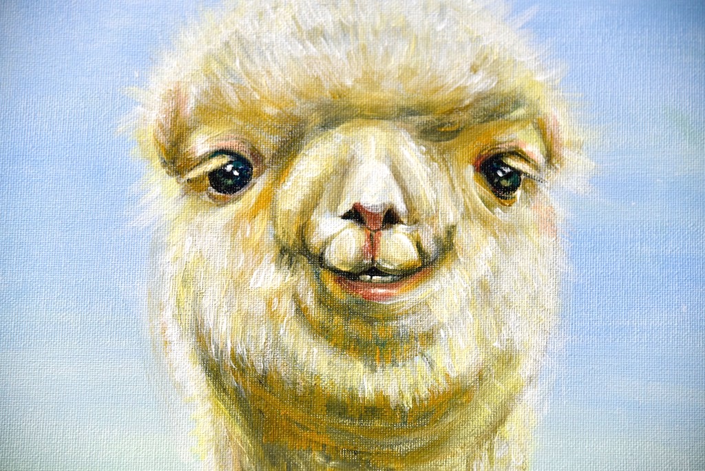 Alpaca-by Ouyang